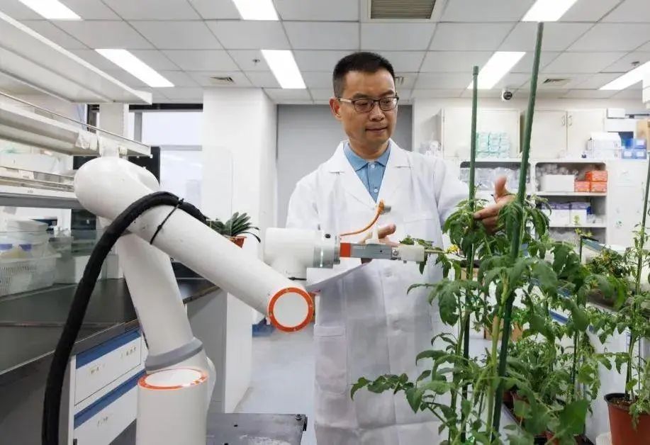 世界首台智能育种机器人“吉儿”登上《细胞》杂志
