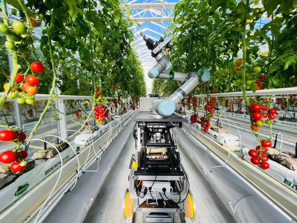 世界首台自动巡航杂交授粉育种机器人研制成功