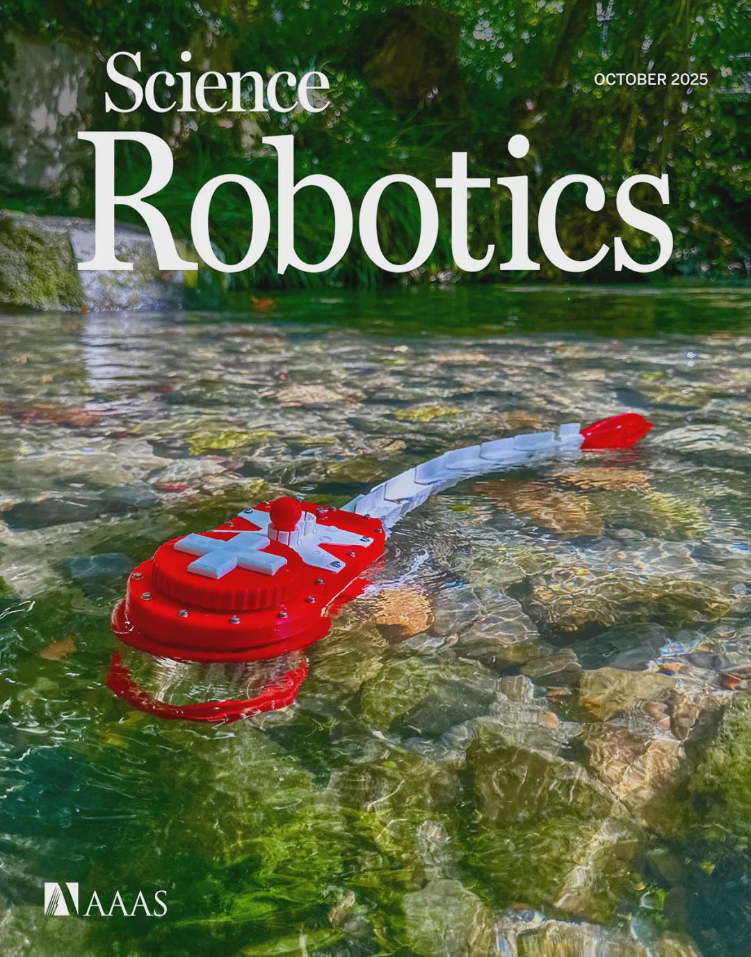 Sci.Rob.最新封面！EPFL造出复现斑马鱼视动反应的仿生机器鱼
