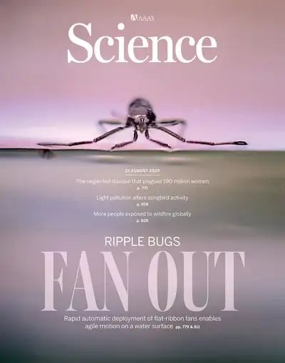 科学家受水黾启发研发超高速微型机器人