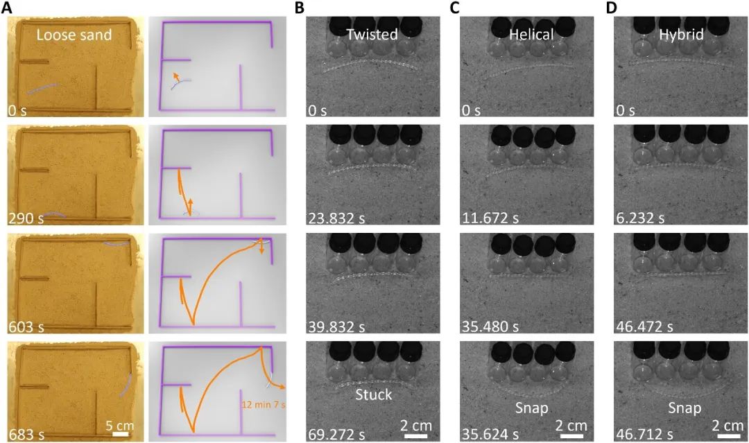 《科学进展》期刊：无脑”机器人穿越迷宫是怎样实现的？(图4)