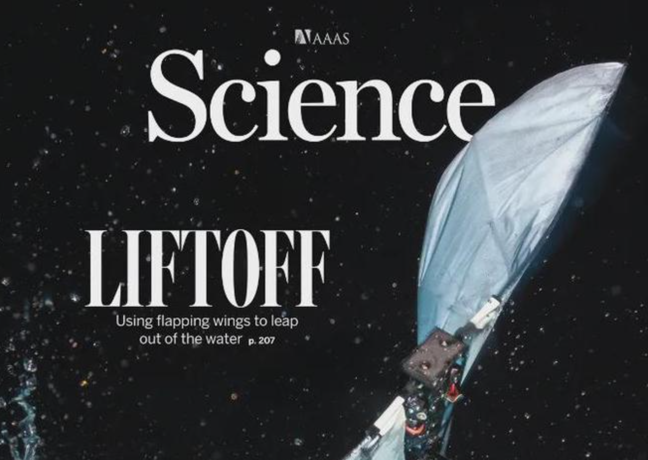 Science最新封面|不折翅不蹬腿,这只扑翼机器人仅靠拍翅就能从水下飞起来