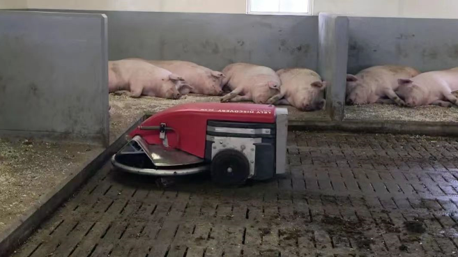 牧原股份生猪养殖自动化程度行业对比分析报告