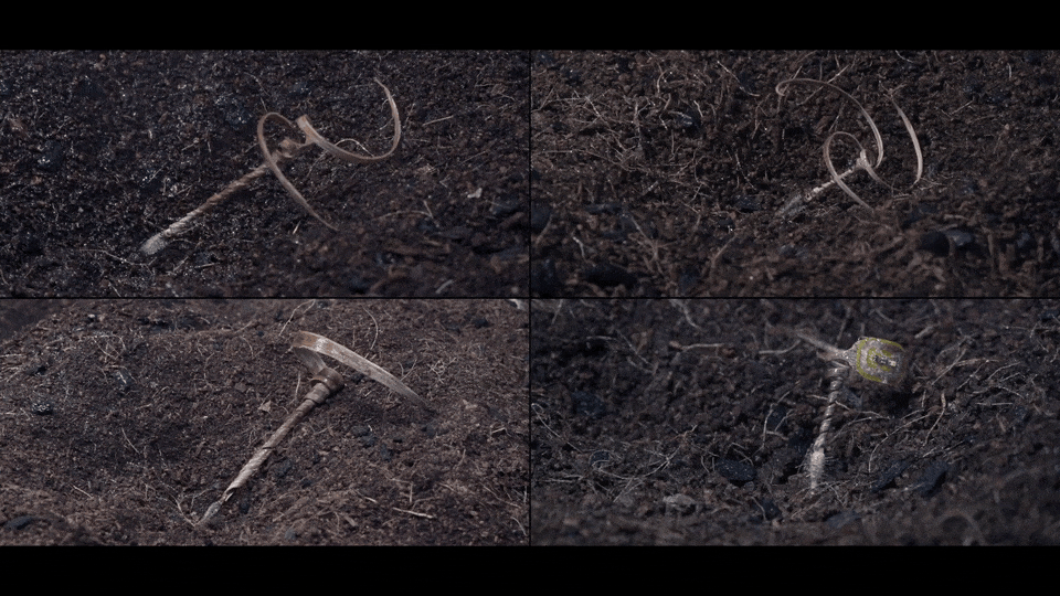 四校合作！Nature封面：会钻地的木材机器人，空投人造种子，助力智慧播种！(图4)