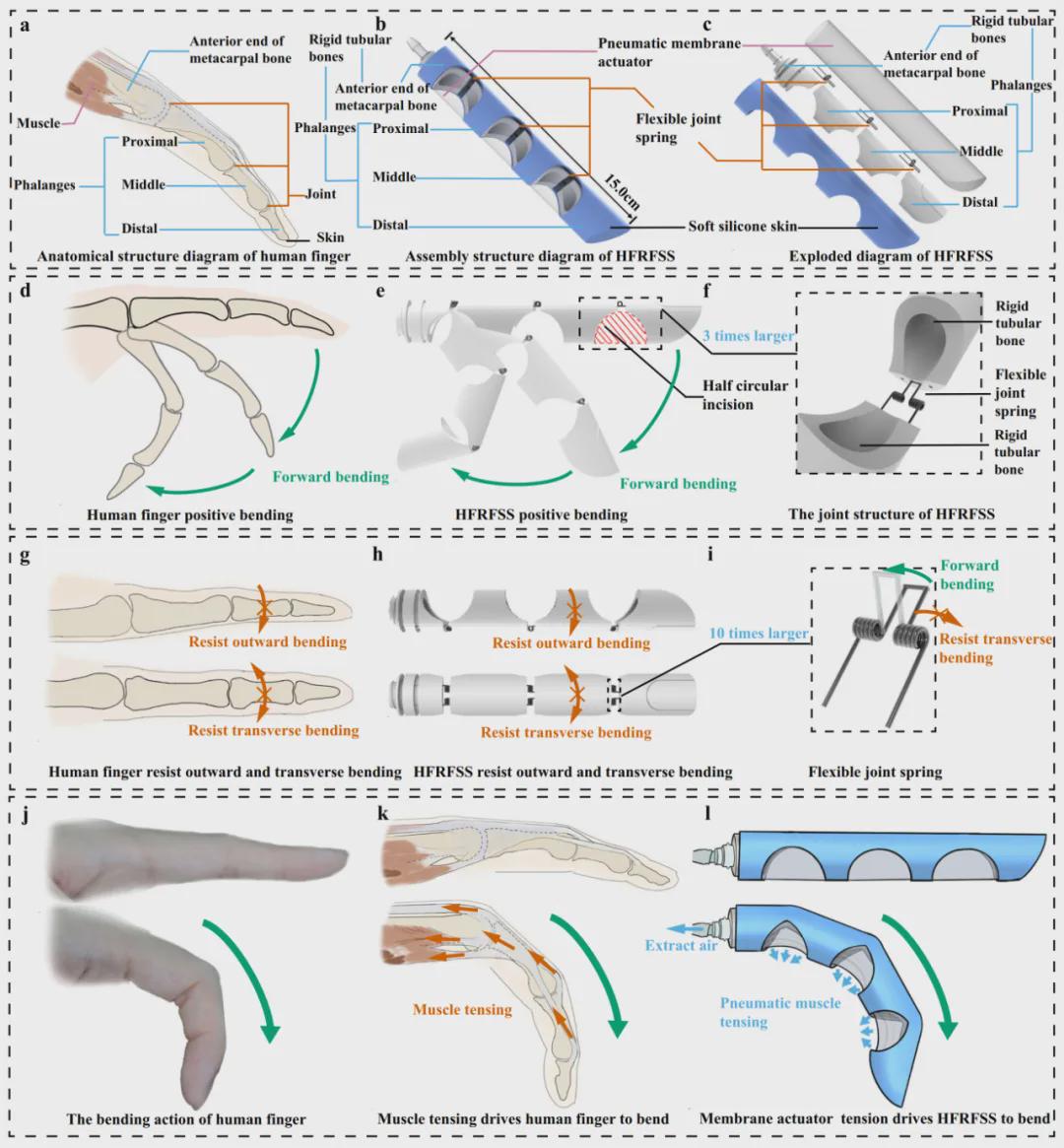 Nature子刊发表！中国地质大学团队研发刚-柔-软结构仿人手指，既能托举20倍自重，也能无损拿捏豆腐蛋黄