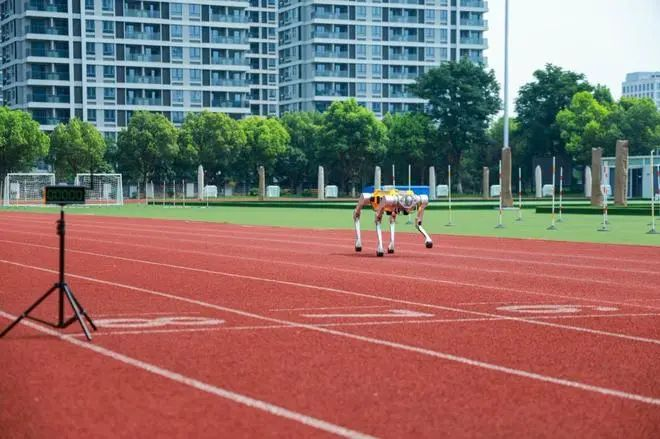 浙江大学四足机器人“白犀”破吉尼斯世界纪录
