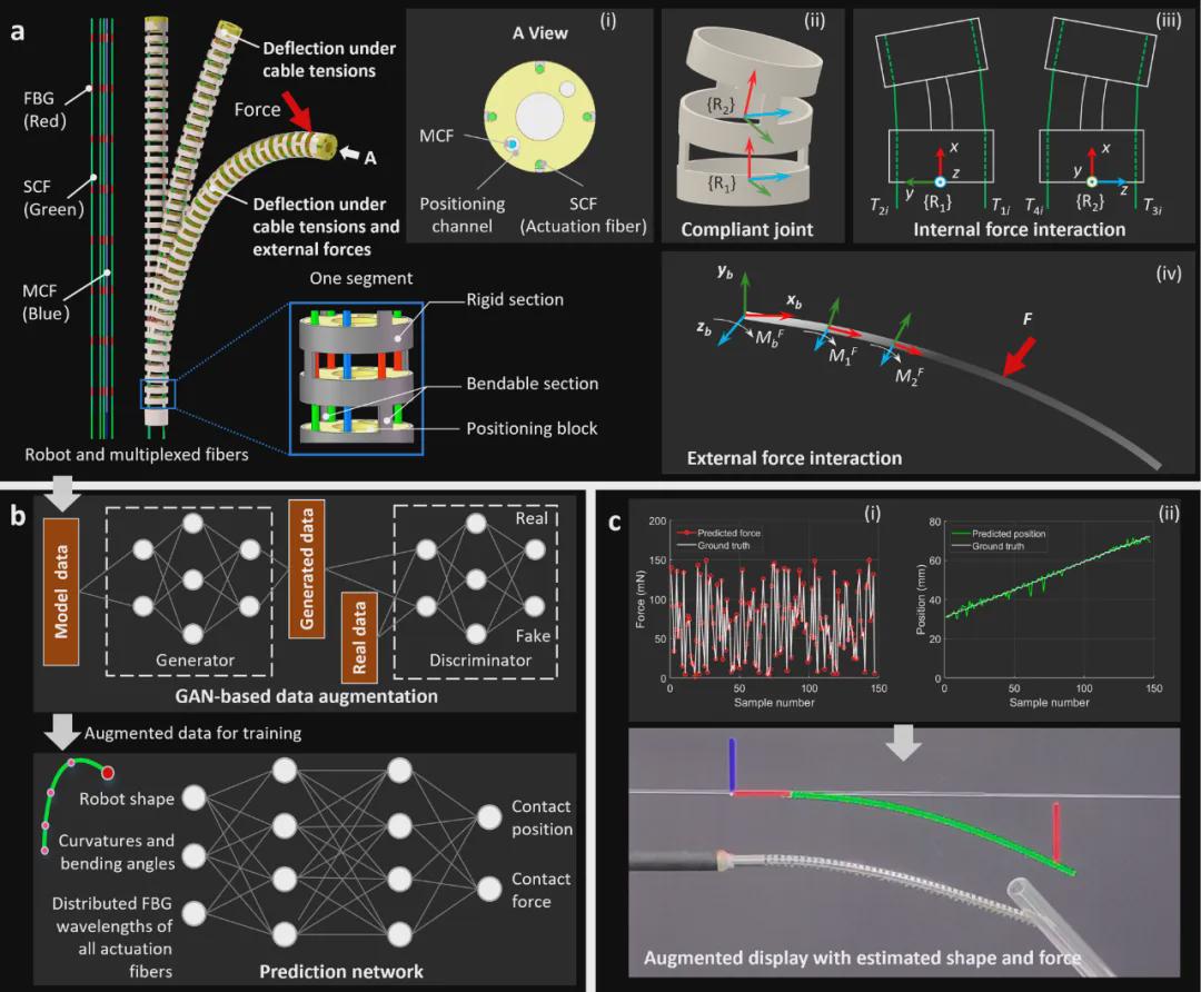 给手术机器人装上“触觉大脑”！中国团队研发光纤触觉机器人，实现介入手术“全身感知”