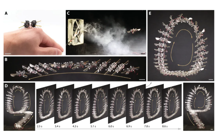 速度提升447%！MIT成果登《Science》子刊，算法解锁微型机器人“昆虫级”敏捷飞行