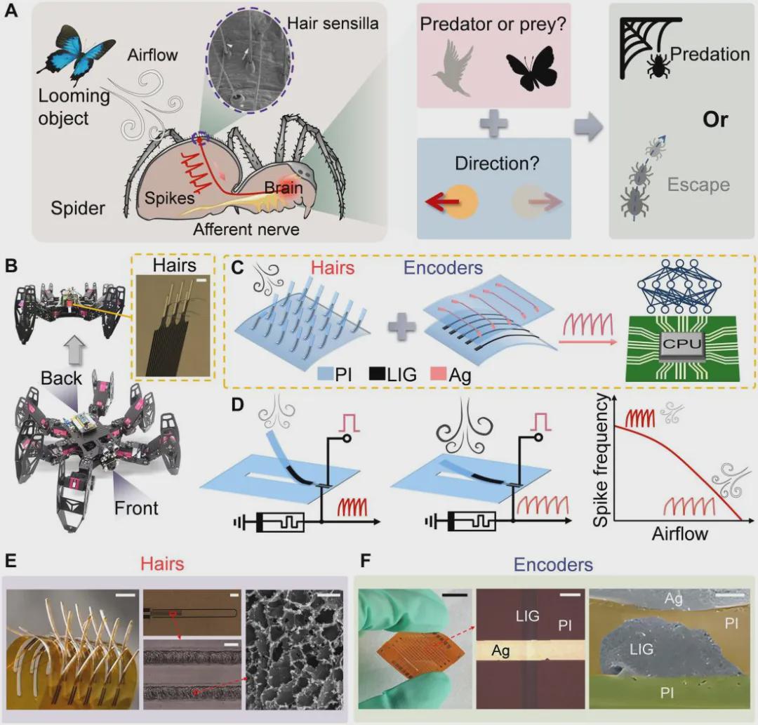 降耗100倍！南大FISH 传感器登《Science Advances》，非接触感知颠覆机器人触觉，识别准确率超90%