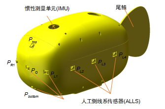 Nature Communications发表！北大团队用可解释模态分解方法赋能侧线感知，实现机器鱼高精度、多场景运动估计！