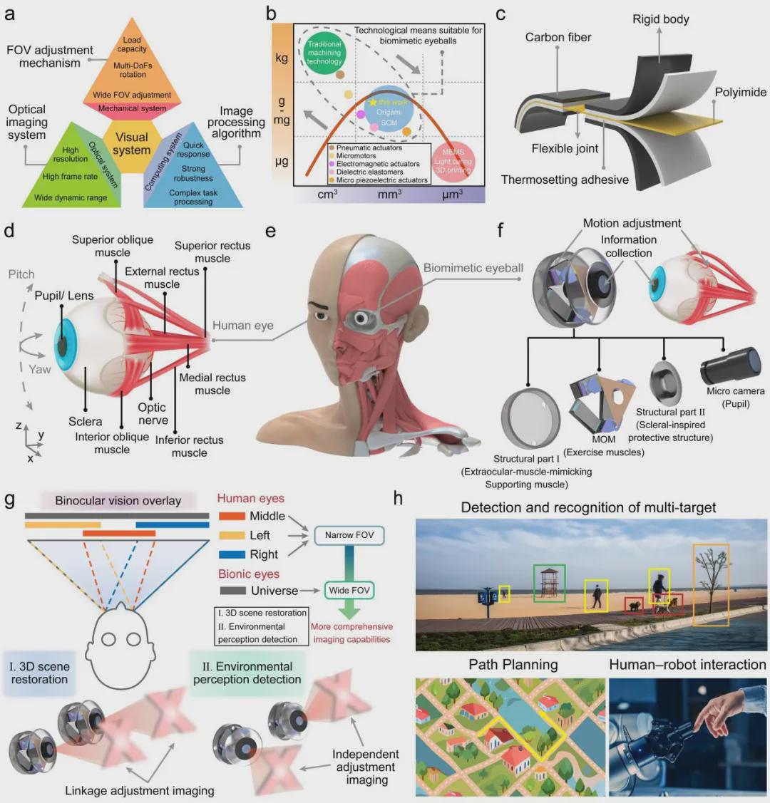 人眼级仿生眼球？国防科大开发1.8克BES，实现微型化与功能集成度兼具！