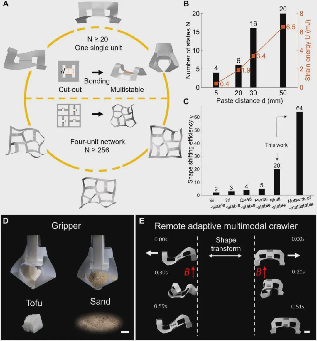 《Sci.Adv.》收录，北卡州立大学提出多稳态元结构实现突破：单一薄膜单元呈现二十种稳态，机器人变形效率倍增