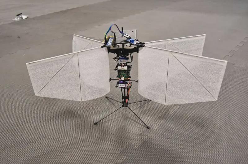 像飞蛾扑火一样定位悬停！仿生飞行器最新突破！