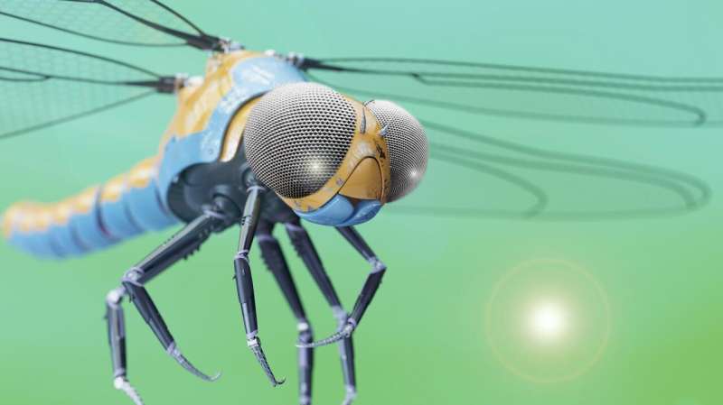 "革新复眼设计：打造低成本赋予机器人昆虫视觉的新技术"